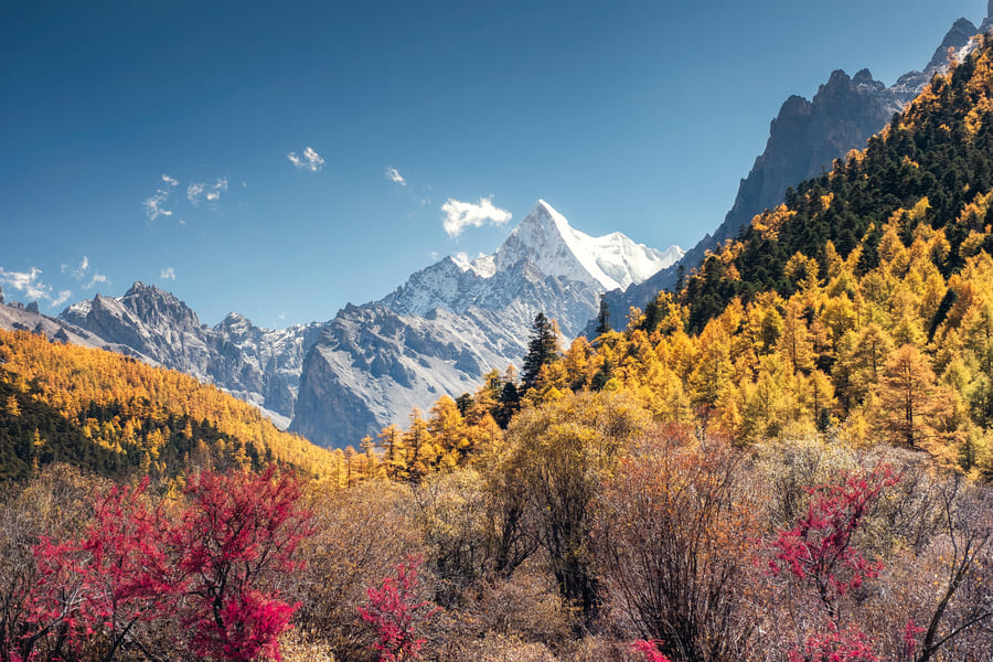 Paisaje de Yunnan con montañas y arboles